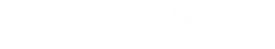zzzz Logo1